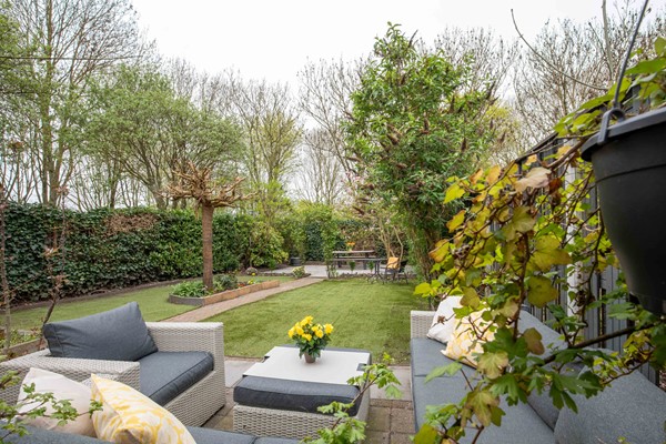 Helsinkipad 53-41.jpg